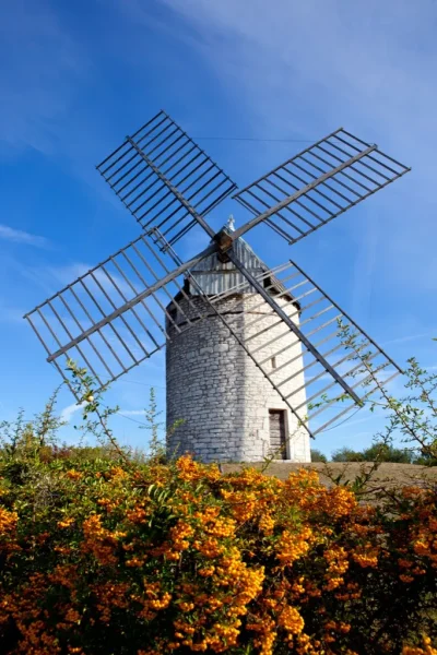 Mise-au-vent-du-Moulin-de-Gignac-amp-visite-8211-Gignac_3028654