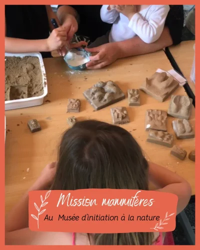 Mission-mammiferes-8211-24-07-2025-8211-Caen_2673349