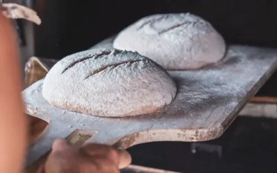 Mon-pain-au-levain-confection-de-votre-pain-maison-8211-Dry_2685356