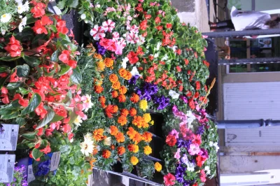 Montmorillon-Fete-le-Printemps-8211-27-04-2025-8211-Montmorillon_2455278