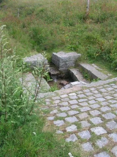 Monument-de-la-fontaine-de-la-duchesse-8211-La-Bresse_3554187
