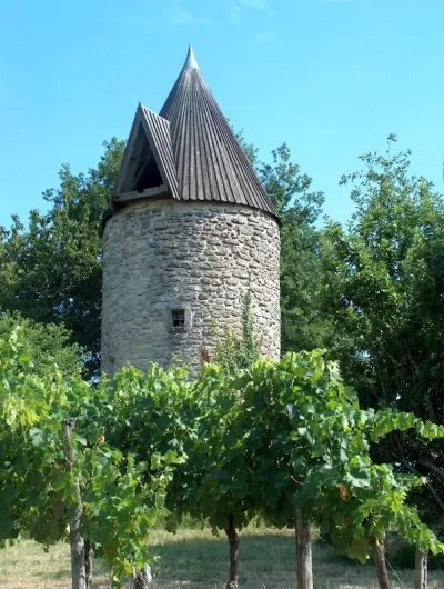 Moulin-a-vent-des-Vergnes-8211-Les-Leves-et-Thoumeyragues_1322256