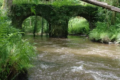 Moulin-du-Pont-8211-Saint-Bazile_2632579