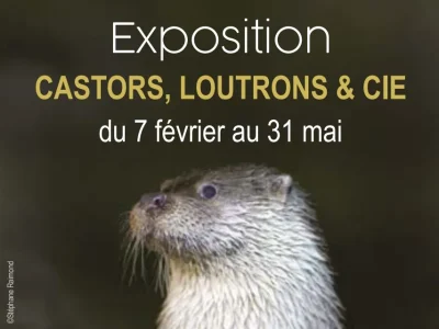 Musee-L039Abbaye-8211-Atelier-8211-A-la-recherche-des-animaux-de-la-riviere-8211-18-02-2026-8211-Mauleon_3480734