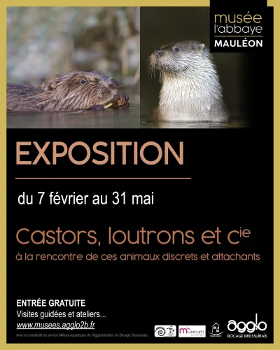 Musee-L039Abbaye-8211-Visite-guidee-8211-Au-coeur-des-rivieres-8211-11-02-2026-8211-Mauleon_3473215