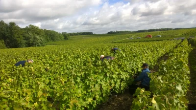 Musee-de-la-vigne-du-vin-et-de-la-tonnellerie-8211-Chancay_3232532
