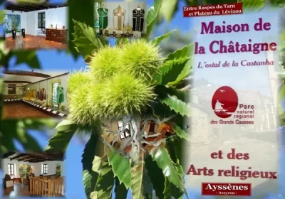 Musee-des-Arts-Religieux-8211-Ayssenes_2265965