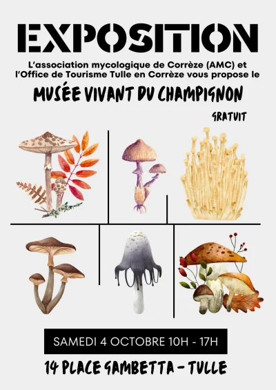 Musee-vivant-du-champignon-8211-04-10-2025-8211-Tulle_3168530