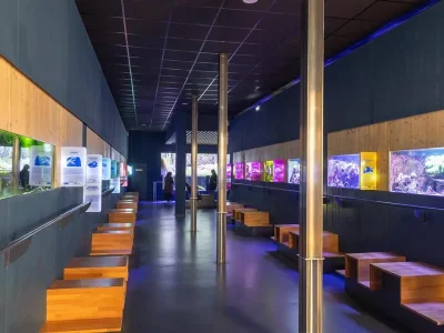 Museum-Aquarium-de-Nancy-8211-Nancy_3881576