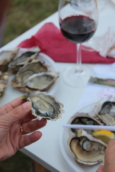 Music-and-Cook-and-Wine-8211-14-08-2026-8211-Pauillac_3050520
