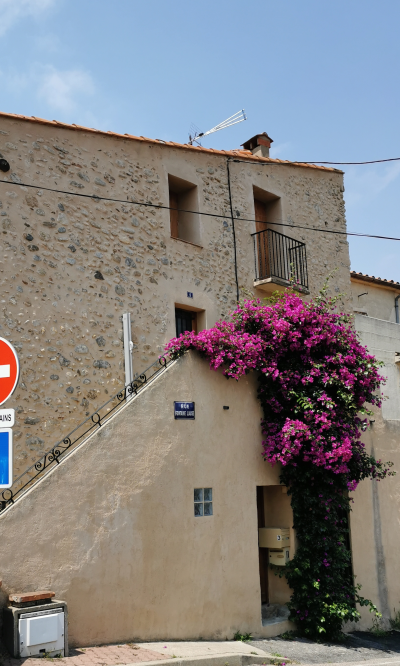 NADEGE-FROUIN_166930