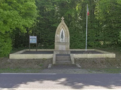 NECROPOLE-NATIONALE-DU-BOIS-DE-TAPPE-DONCOURT-LES-LONGUYON_328294