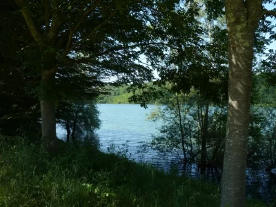 Navailles-Angos-tour-du-lac-du-Balaing-petite-boucle_1041783