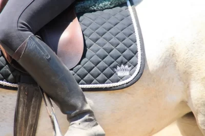 Niv039au-Galop-Club_1133343