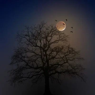 Nuit-dHalloween-au-Chateau-de-Saint-Brisson-8211-25-10-2025-8211-Saint-Brisson-sur-Loire_2585310