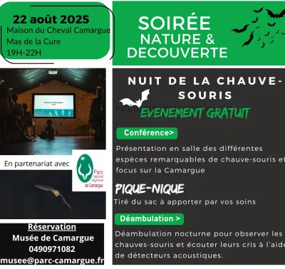Nuit-de-la-chauve-souris-8211-22-08-2025-8211-Saintes-Maries-de-la-Mer_2913991