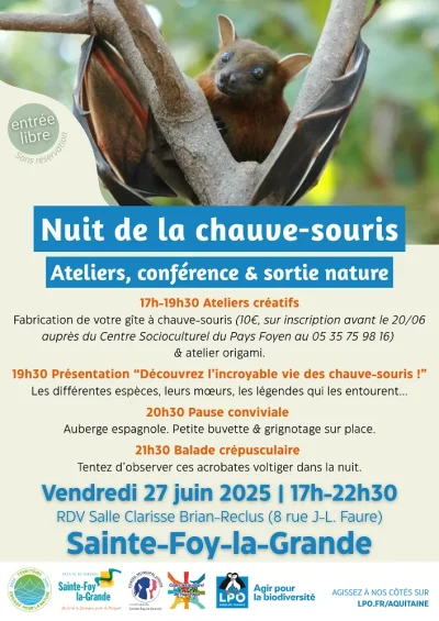 Nuit-de-la-chauve-souris-8211-27-06-2025-8211-Sainte-Foy-la-Grande_2730989