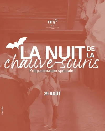 Nuit-de-la-chauve-souris-Fabrication-d039hotel-a-chauve-souris-8211-Saint-Maximin_2814047-1