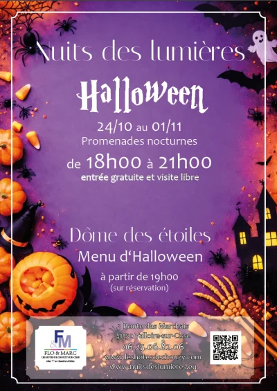 Nuit-des-lumieres-8211-Halloween-a-Chouzy-sur-Cisse-8211-24-10-2026-8211-Valloire-sur-Cisse_3464920