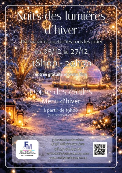 Nuit-des-lumieres-8211-Noel-a-Chouzy-sur-Cisse-8211-05-12-2026-8211-Valloire-sur-Cisse_3376815