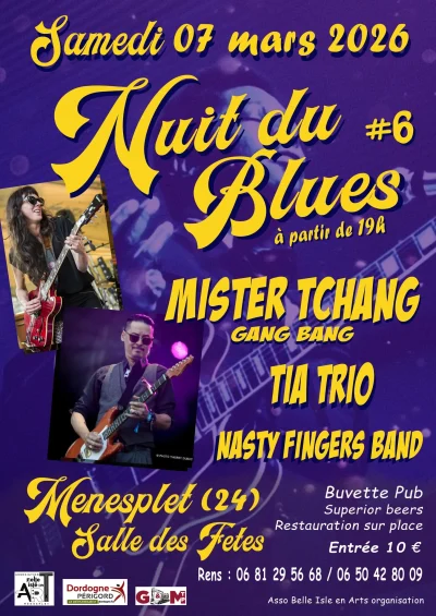 Nuit-du-blues-8211-07-03-2026-8211-Menesplet_3473227