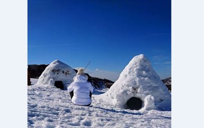 Nuit-en-Igloo_46245