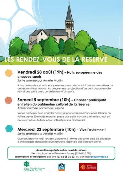 Nuit-europeenne-des-chauves-souris-8211-Le-Fel_3797909
