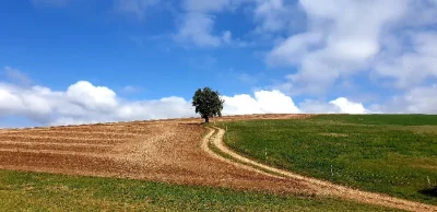 N°11-VTT-8211-Contreforts-de-la-Loubiere-8211-Saint-Felix-de-Sorgues_2229616