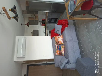 O-GECKO-MARIN-8211-Argeles-sur-Mer_3070832