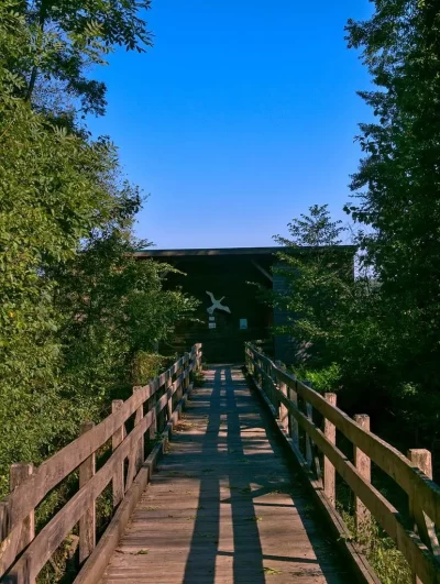 OBSERVATOIRE-ORNITHOLOGIQUE-DE-LINDRE-BASSE_306470