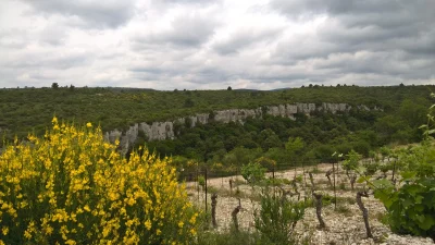 OENORANDO®-DU-PETIT-GRAIN-8211-Saint-Jean-de-Minervois_1956082