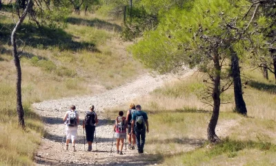 OENORANDO®-ENTRE-GRES-DE-MONTPELLIER-ET-PIC-SAINT-LOUP-8211-Assas_1201209