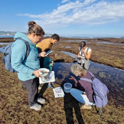 Observateurs-du-Littoral-decouvrez-la-richesse-de-la-biodiversite-de-lestran-rocheux.-8211-09-10-2025-8211-Hendaye_2974623