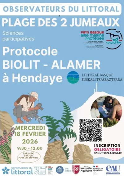 Observateurs-du-Littoral-decouvrez-la-richesse-de-la-biodiversite-de-lestran-rocheux.-8211-18-02-2026-8211-Hendaye_3475253
