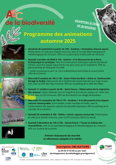 Observation-de-la-migration-des-oiseaux-8211-11-10-2025-8211-Saint-Vaury_3143281