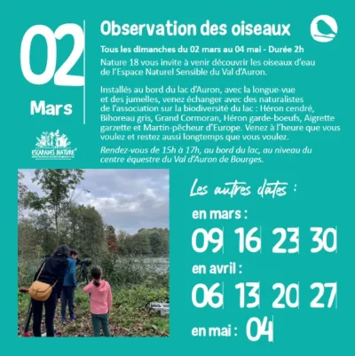 Observation-des-oiseaux-8211-19-10-2025-8211-Bourges_2585478