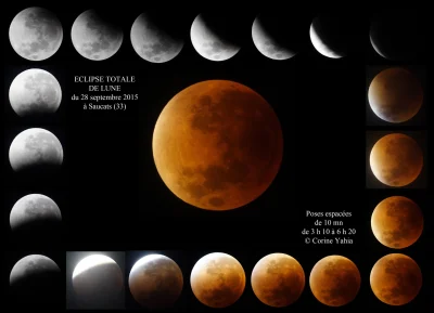 Observation-speciale-eclipse-de-Lune-8211-14-03-2025-8211-Saucats_2975770