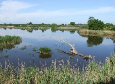 Observatoire-de-l039etang-Ricot-Reserve-naturelle-de-Cherine-8211-Saint-Michel-en-Brenne_1696094
