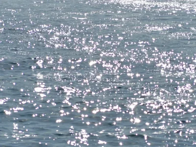 Oceans-8211-11-03-2025-8211-Marseille-4e-Arrondissement_2098406