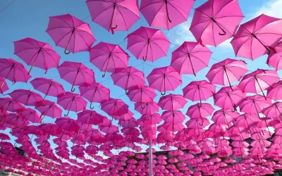 Octobre-rose-aux-Hirondelles-8211-05-10-2025-8211-Piets-Plasence-Moustrou_3107949