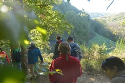 Office-de-Tourisme-Naturellement-Perigord-8211-Excideuil_2536849