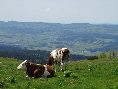 Office-de-Tourisme-du-Pays-du-Haut-Doubs-8211-Metabief_2358073