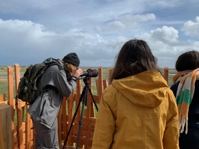 Oiseaux-hivernants-de-la-Reserve-de-Beauguillot-8211-25-01-2026-8211-Sainte-Marie-du-Mont_3326903