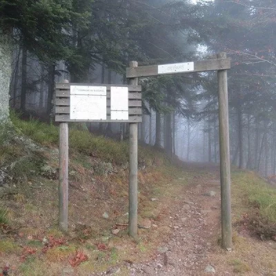 PARCOURS-DE-SANTE-A-BUSSANG_309163