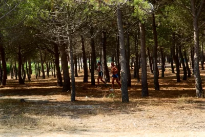 PARCOURS-FORESTIER-ET-DE-SANTE_711693