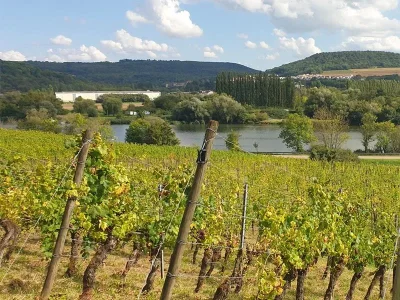 PARCOURS-LUDIQUE-BON-VOYAGE-KREBSY-8211-HAUTE-KONTZ-8211-Contz-les-Bains_1758503