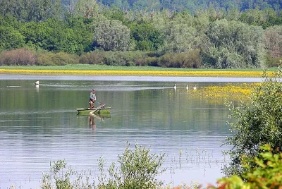 PECHE-AU-LAC-DE-LA-VINGEANNE-8211-Villegusien-le-Lac_3524288