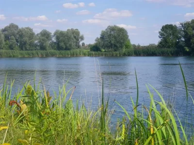 PECHE-AUX-ETANGS-FEDERAUX-MULLER_307767