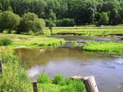PECHE-LA-GAULE-GERBEVILLOISE_308122