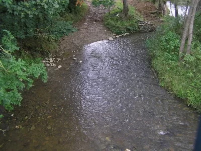 PECHE-LES-PECHEURS-DE-LA-BLETTE_313382